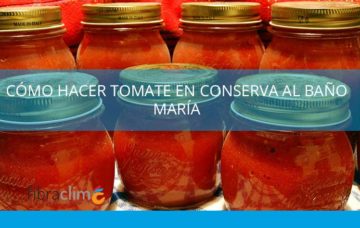 Receta-de-tomate-en-conserva-al-bano-de-maria