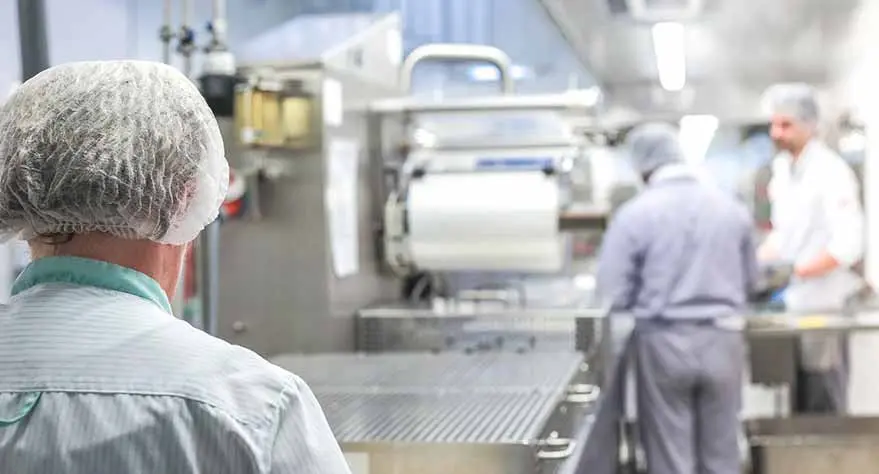 Claves para elegir horno industrial Fibraclim