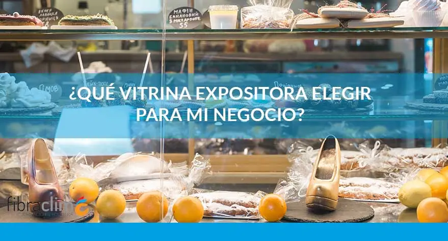 elegir-vitrina-expositora