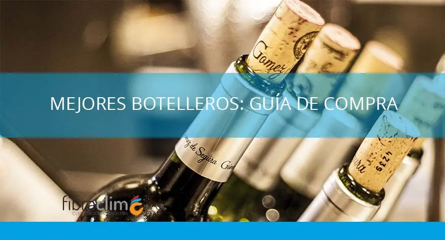 mejores botelleros