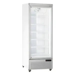 Armario expositor congelación puerta de cristal blanco RFG 750 BT