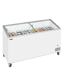 IC501SCEB-1