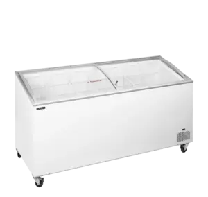 IC551SCEB