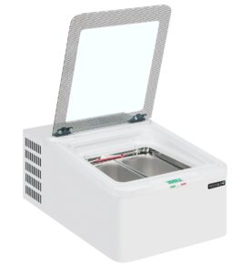 ICE2