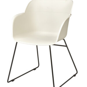 Sillón Carcasa y Armazón Varilla Pintada SHELL 2-P PT