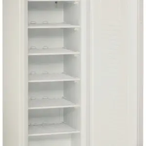 Armario Snack Congelados 1 puerta  FRZ350SD