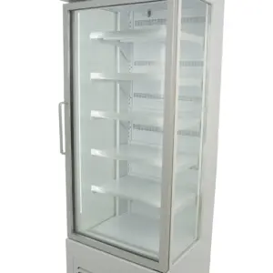 Armario Expositor Refrigerado 400 L VISION400B