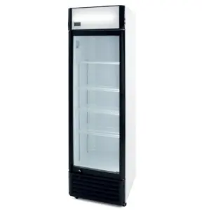 Nevera Bebidas Subcero -5ºC de 360 litros  SZ360