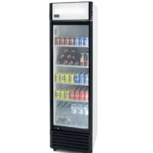 Nevera Bebidas Subcero -5ºC de 360 litros  SZ360