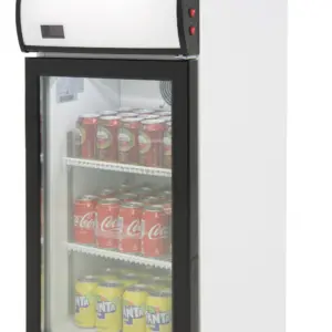 Armario Expositor Refrigerado Subcero Puerta Vidrio SZ80L