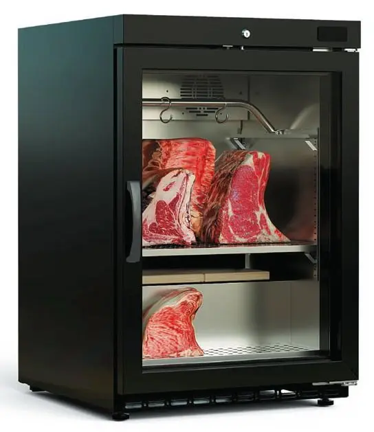Armario Maduración de carne "DRY AGING" DDAV-200 DOCRILUC