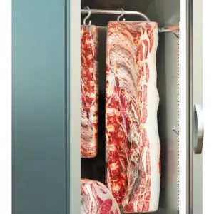 Armario Maduración de carne "DRY AGING" DDAV-200 DOCRILUC