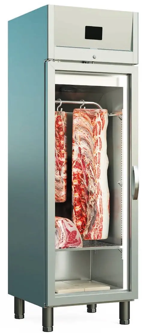 Armario Maduración de carne "DRY AGING" DDAV-200 DOCRILUC