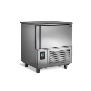 Abatidor de temperatura Profesional para Heladerías ZERO T5 SP EUROFRED