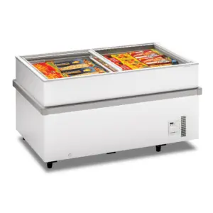 Congelador Horizontal Con Separación Interna y Puertas Correderas de Cristal CHV/V EUROFRED